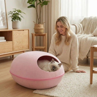 siamois endormi paisiblement cocon pour chat maîtresse le regardant tendrement