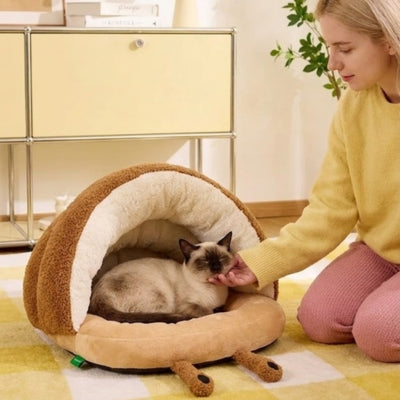 siamois lové dans niche à chat maîtresse le caressant tendrement