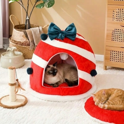 siamois lové dans niche chat miao noel autre chat relaxant sur coussin