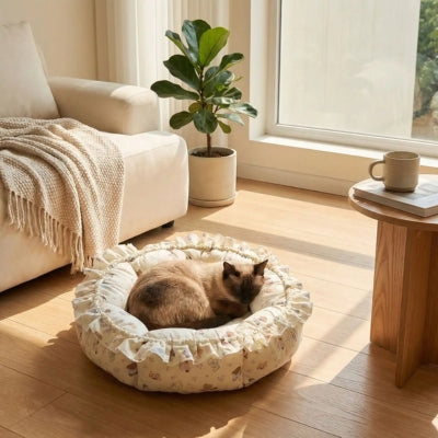 siamois lové dans un de ses couffins pour chats