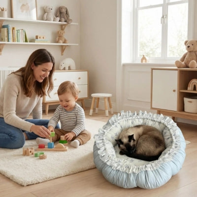siamois lové dans un ses couffins pour chats maman joue avec bébé