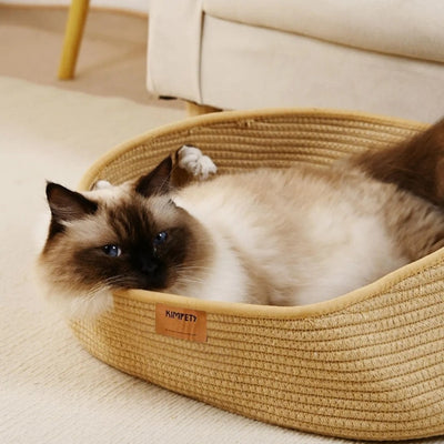 siamoise bien detendue dans panier chatons