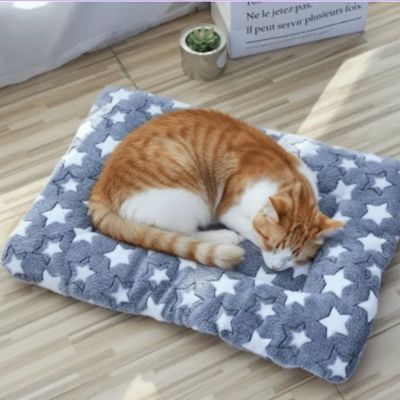 tapis chat bleu gris étoilé chat endormi dessus