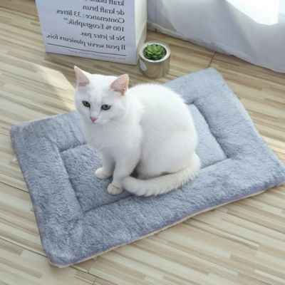 tapis chat bleu gris uni chat assis dessus