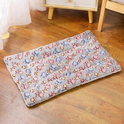 tapis chat pattes chat colorées