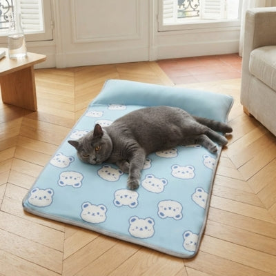 tapis chat rafraîchissant chartreux relaxant appartement parisien
