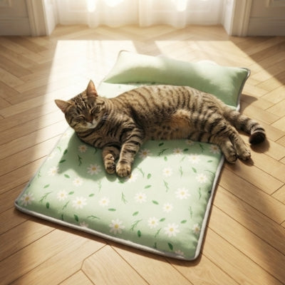 tapis chat rafraîchissant vert marguerites european shorthair detendu dessus