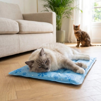 Tapis frais pour chat bleu ciel flocons ragdoll relaxant dessus 