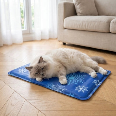 tapis frais pour chat bleu navy ragdoll relaxant dessus