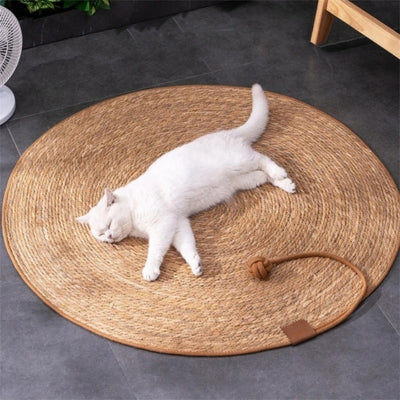 tapis griffoir chat chat dort dessus