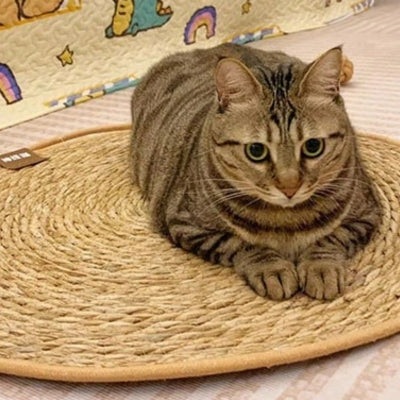 tapis griffoir chat chat en detente dessus