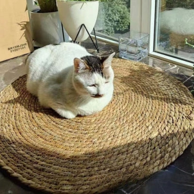 tapis griffoir chat chat fait sièste dessus