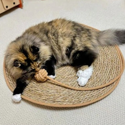 tapis griffoir chat chat joue avec balle attachée