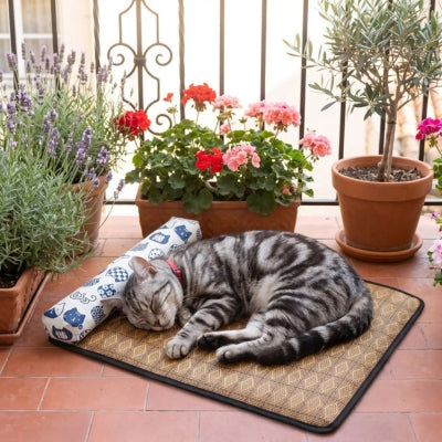  tapis rafraîchissant chat balcon français chat tigré endormi dessus