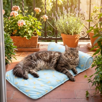 Tapis rafraichissant chat bleu motifs bananes maine coon balcon