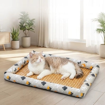 tapis rafraichissant chat persan somnolant dessus dans salon