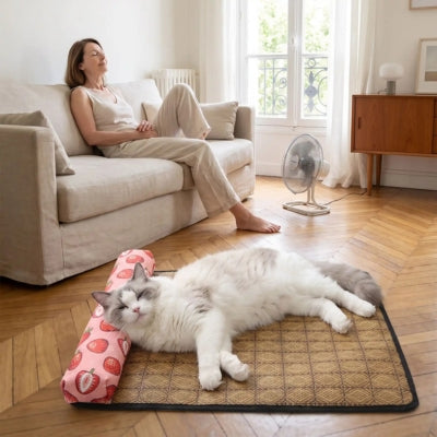 tapis rafraîchissant chat ragdoll salon français maîtresse relaxant sofa