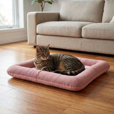 tapis rafraichissant chat rose chat detendu dessus