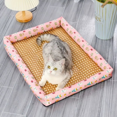 tapis rafraichissant chat rose tigré gris observant 