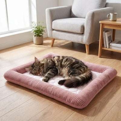 tapis rafraichissant chat rose maine coon endormi dessus