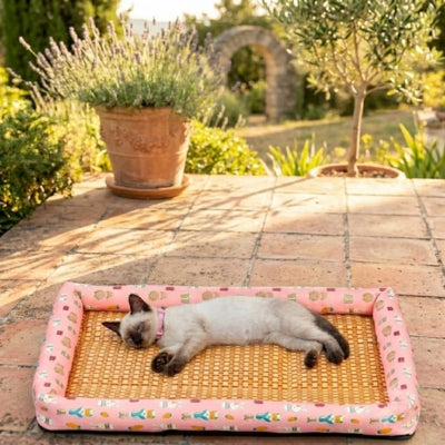 tapis rafraichissant chat siamois jardin provence