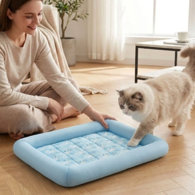 tapis rafraichissant pour chat bleu femme ragdoll salon