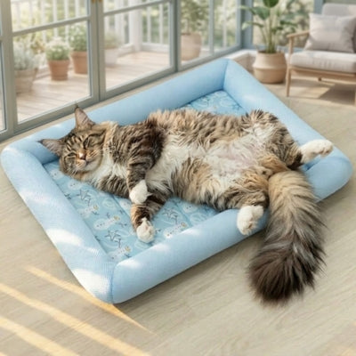 tapis rafraichissant pour chat bleu  maine coon detente totale