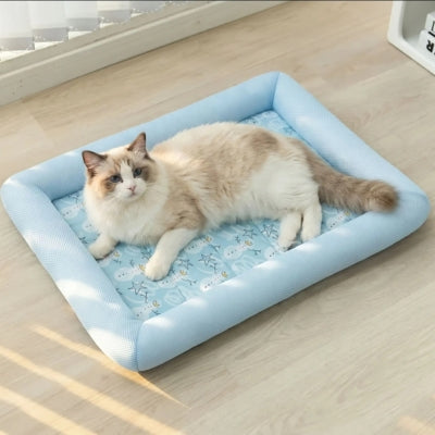 tapis rafraichissant pour chat bleu ragdoll allongé