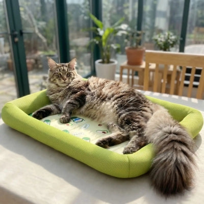 tapis rafraichissant pour chat vert maine coon veranda