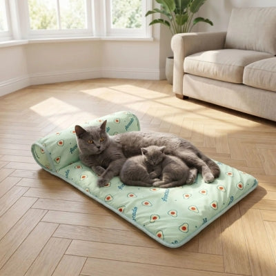 Tapis rafraichissant chat vert motifs avocats chartreux avec ses chatons dans salon