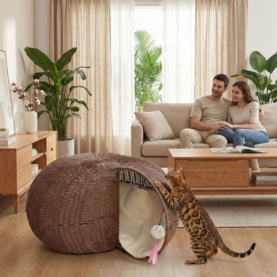 toyger friffant son panier chat en osier couple le regardant