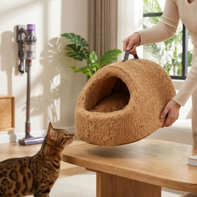 toyger suit cocon pour chat maîtresse le déplace