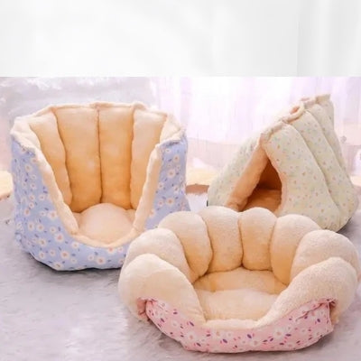 trois formes coussins chat dans salon