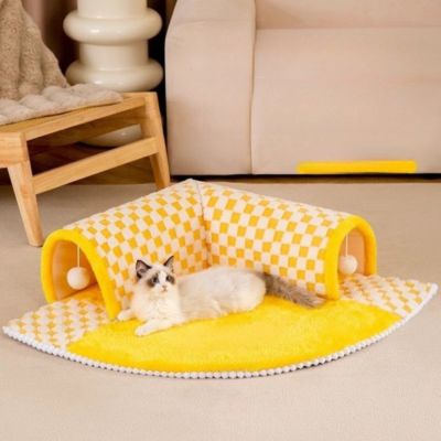 tunnel chat jaune ragdoll relaxant devant
