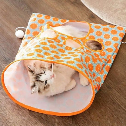  tunnel chat orange tangerine chat lové dedans