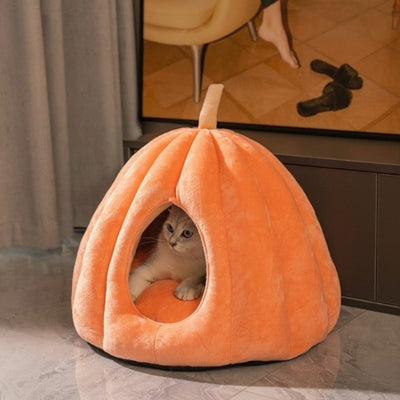 une des niches pour chat orange citrouille chat lové dedans