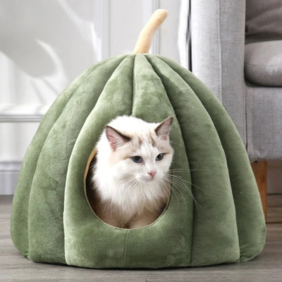 une des niches pour chat vert kaki chat detendu dedans